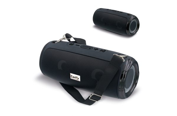 Duży głośnik z paskiem na ramię 20W