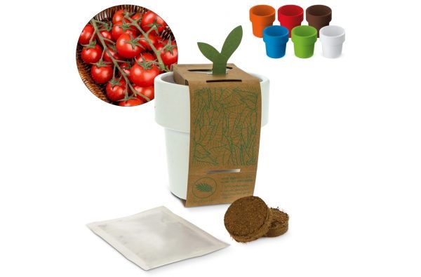 Utrzymujący gorąco, ale chłodny w dotyku kubek z nasionami pomidora Cherry